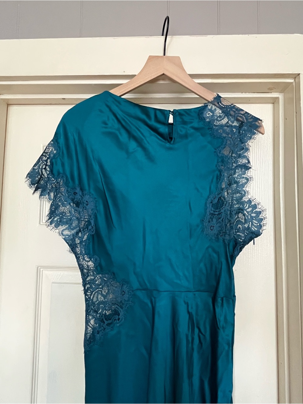 ALC Alessia Textured Satin And Lace Maxi Dress - Picture 13 of 15